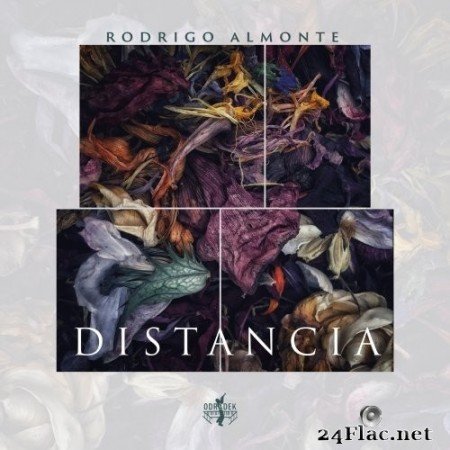 Rodrigo Almonte - Distancia (2021) Hi-Res