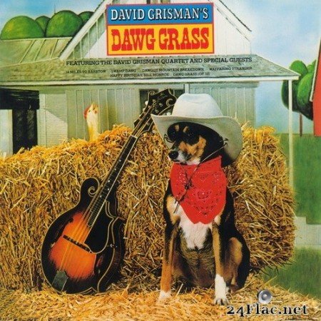 David Grisman - Dawg Grass (2021) Hi-Res