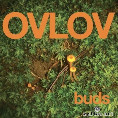 Ovlov - Buds (2021) Hi-Res