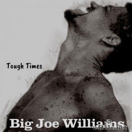 Big Joe Williams - Tough Times (Remastered) (1960/2021) Hi-Res