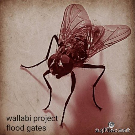 Wallabi Project - Flood Gates (2021) Hi-Res