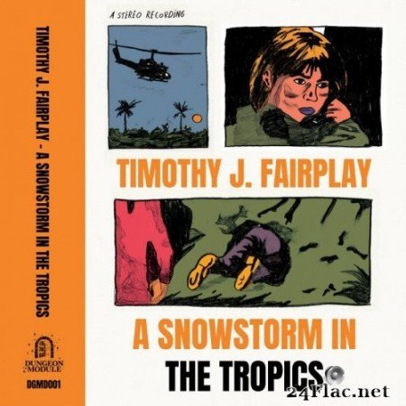 Timothy J. Fairplay - A Snowstorm In The Tropics (2021) Hi-Res