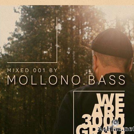 VA & Mollono.Bass - We Are 3000Grad ( Mollono.Bass DJ Mix ) (2021) [FLAC (tracks)]