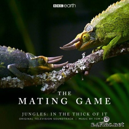 Tom Howe - The Mating Game - Jungles: In the Thick of It (Original Television Soundtrack) (2021) Hi-Res