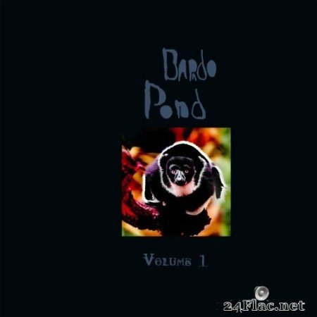 Bardo Pond - Volume 1 (2021) Hi-Res