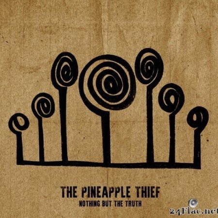 The Pineapple Thief - Nothing But the Truth (2021) [FLAC (tracks)]