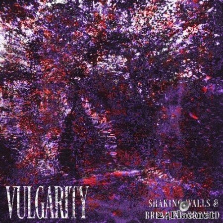 Vulgarity - Shaking Walls & Breaking Ground (2021) Hi-Res