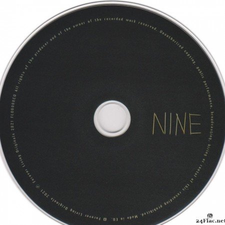Sault - Nine (2021) [FLAC (tracks + .cue)]