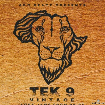 Tek 9 - Vintage (Limited Edition) (2021) [FLAC (tracks + .cue)]