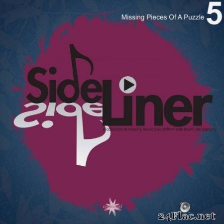 Side Liner - Missing Pieces Of A Puzzle, Vol. 5 (2021) Hi-Res