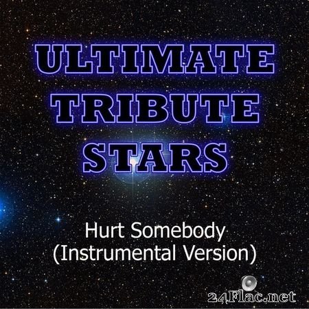 Ultimate Tribute Stars - Akon feat. French Montana - Hurt Somebody (Instrumental Version) (2012) [16B-44.1kHz] FLAC