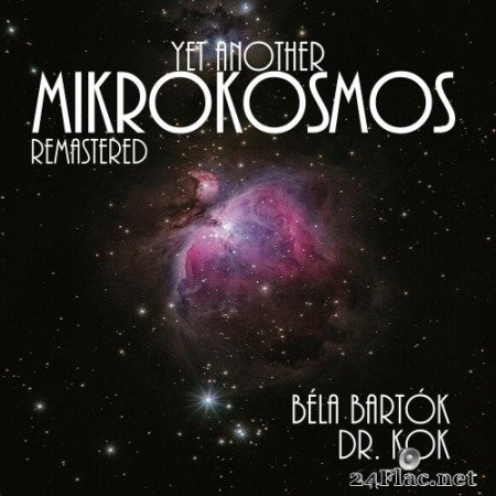 Dr. Kok - Yet Another Mikrokosmos (Remastered) (2022) Hi-Res