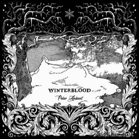 Winterblood - Polar Ambient (2021) Hi-Res