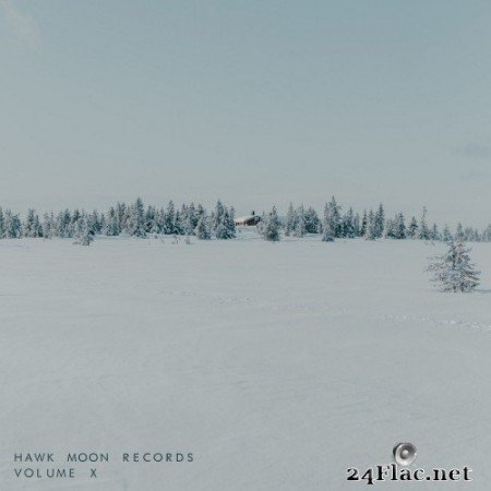 VA - Hawk Moon Records X (2021) Hi-Res