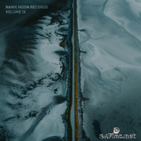 VA - Hawk Moon Records IX (2020) Hi-Res