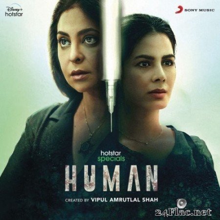 Saurabh Bhalerao, Suyash Kelkar, Nupoora Niphadkar - Human (Original Series Soundtrack) (2022) Hi-Res