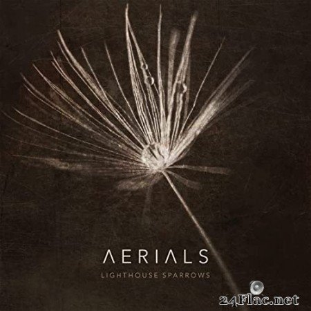 Lighthouse Sparrows - Aerials (2022) Hi-Res