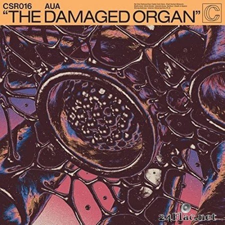 AUA - The Damaged Organ (2022) Hi-Res