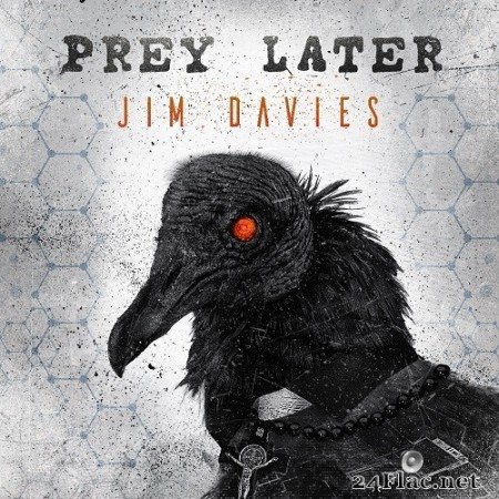 Jim Davies (ex. Pitchshifter / The Prodigy) - Prey Later (2021) Hi-Res