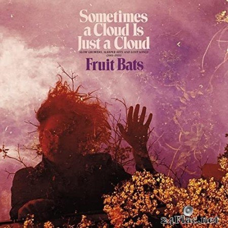 Fruit Bats - Sometimes a Cloud Is Just a Cloud: Slow Growers, Sleeper Hits and Lost Songs (2001–2021) (2022) Hi-Res
