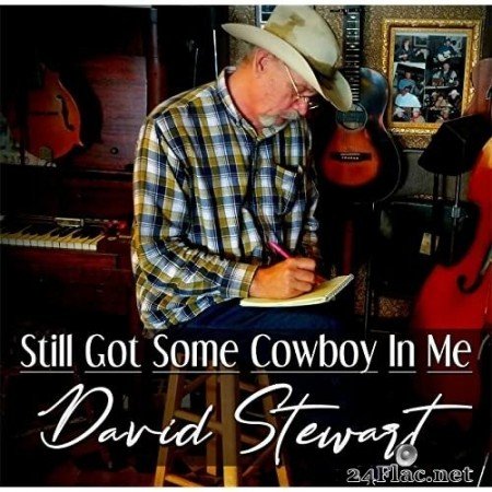 David Stewart - Still Got Some Cowboy In Me (2022) Hi-Res