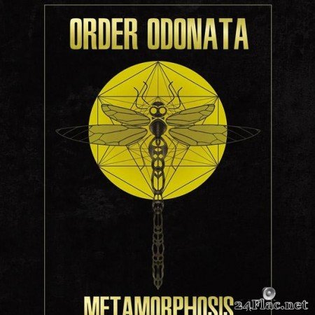 VA - Order Odonata - Metamorphosis (2019) [FLAC (tracks)]