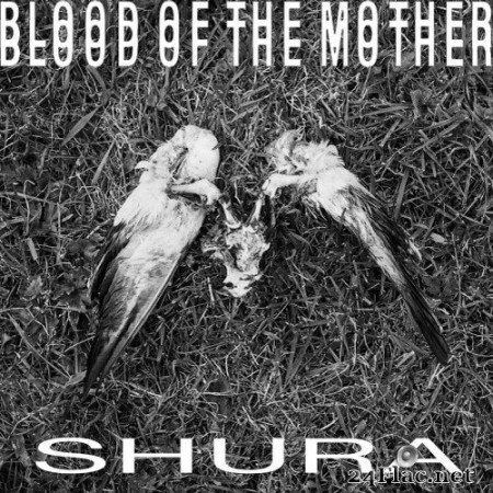 Blood of the Mother - Shura (EP) (2020) Hi-Res