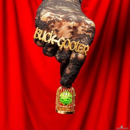 Buck Gooter - Head In A Bird Cage (2021) Hi-Res