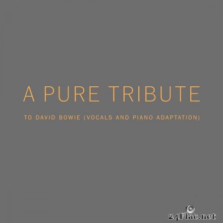 Pure - A Pure Tribute to David Bowie (Vocals and Piano Adaptation) (2022) Hi-Res