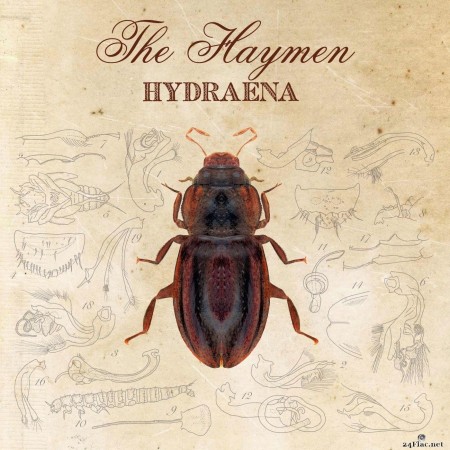 The Haymen - Hydraena (2022) Hi-Res