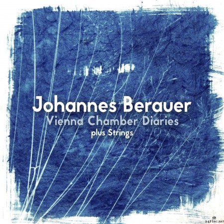 Johannes Berauer - Vienna Chamber Diaries Plus Strings (2022) Hi-Res