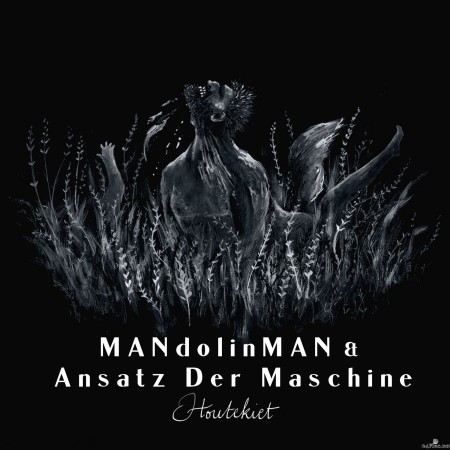 Mandolinman - Houtekiet (2022) Hi-Res