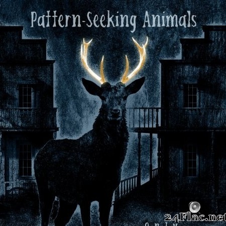 Pattern-Seeking Animals - Only Passing Through (Bonus Track Edition) (2022) Hi-Res