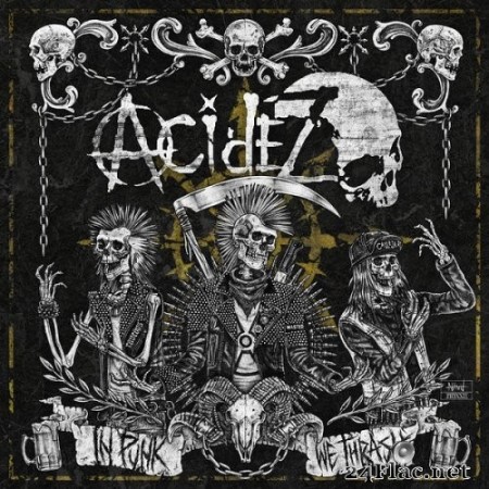 Acidez - In Punk We Thrash (2022) Hi-Res