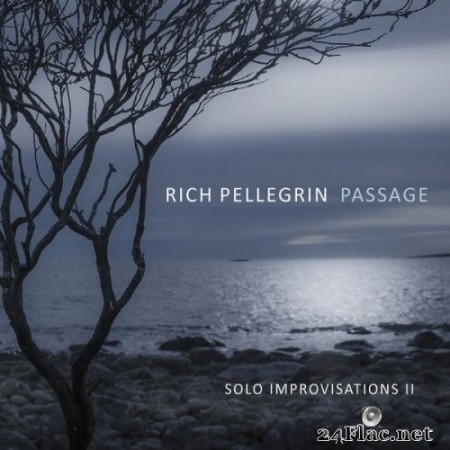 Rich Pellegrin - Passage: Solo Improvisations II (2022) Hi-Res