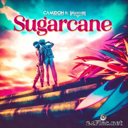 Camidoh - Sugarcane (2021) flac