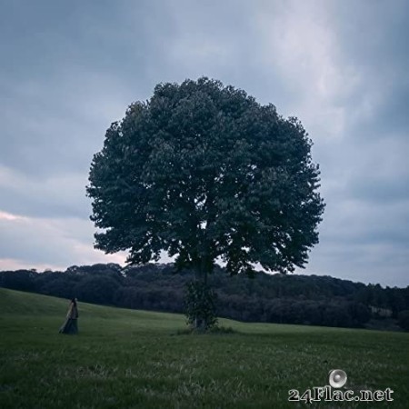 Yusuke Tsutsumi - A Walk in the Woods (Original Motion Picture Soundtrack) (2022) Hi-Res