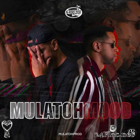 Mulatoh Prod - Mulatoh Mood (2022) flac