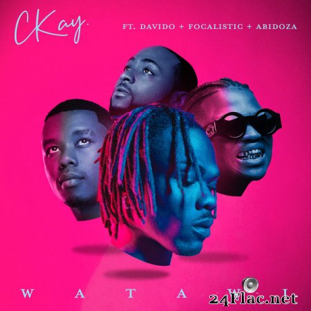 CKay - WATAWI (feat. Davido, Focalistic & Abidoza) (Edit) (2022) flac