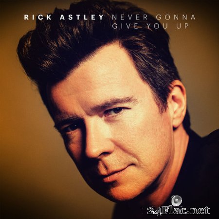 Rick Astley - Never Gonna Give You Up (2019) flac