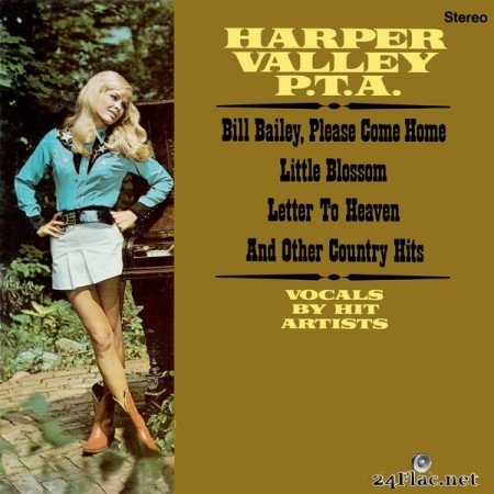 VA - Harper Valley P. T. A. (2016-2022 Remaster from the Original Somerset Tapes) (2022) Hi-Res