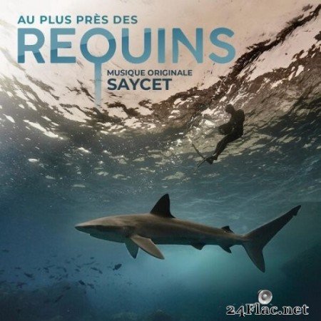 Saycet - Au plus près des requins (Bande originale du film) (2022) Hi-Res