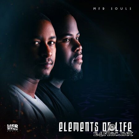 MFR Souls - Elements Of Life (2022) flac