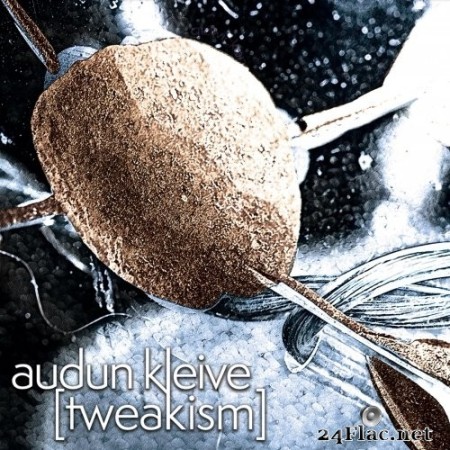 Audun Kleive - Tweakism (2023) Hi-Res