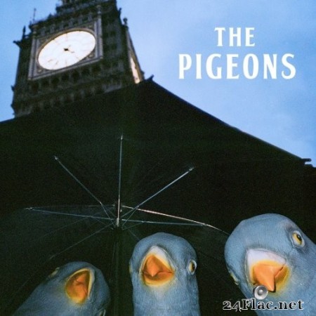 The Pigeons - Bird Brain Gang (2023) Hi-Res