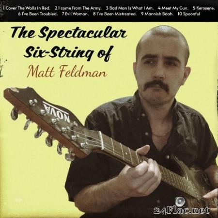 Matthew Stanley Feldman - Spectacular Six-String (2023) Hi-Res